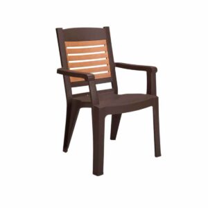 Poltrona Winston Bronze